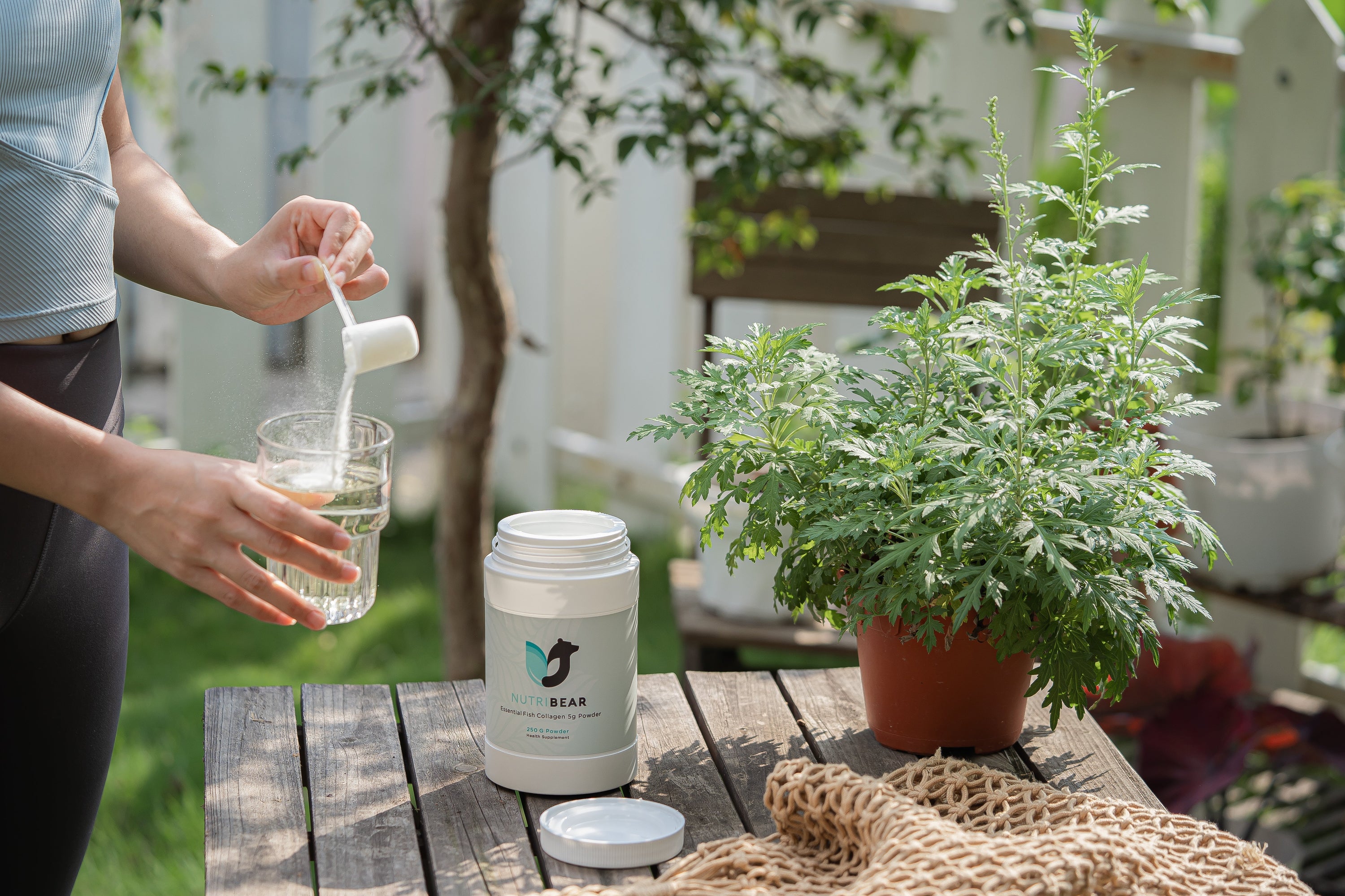 Collagen Magic: Transforming Skin Elasticity, Hydration, and Wound Healing