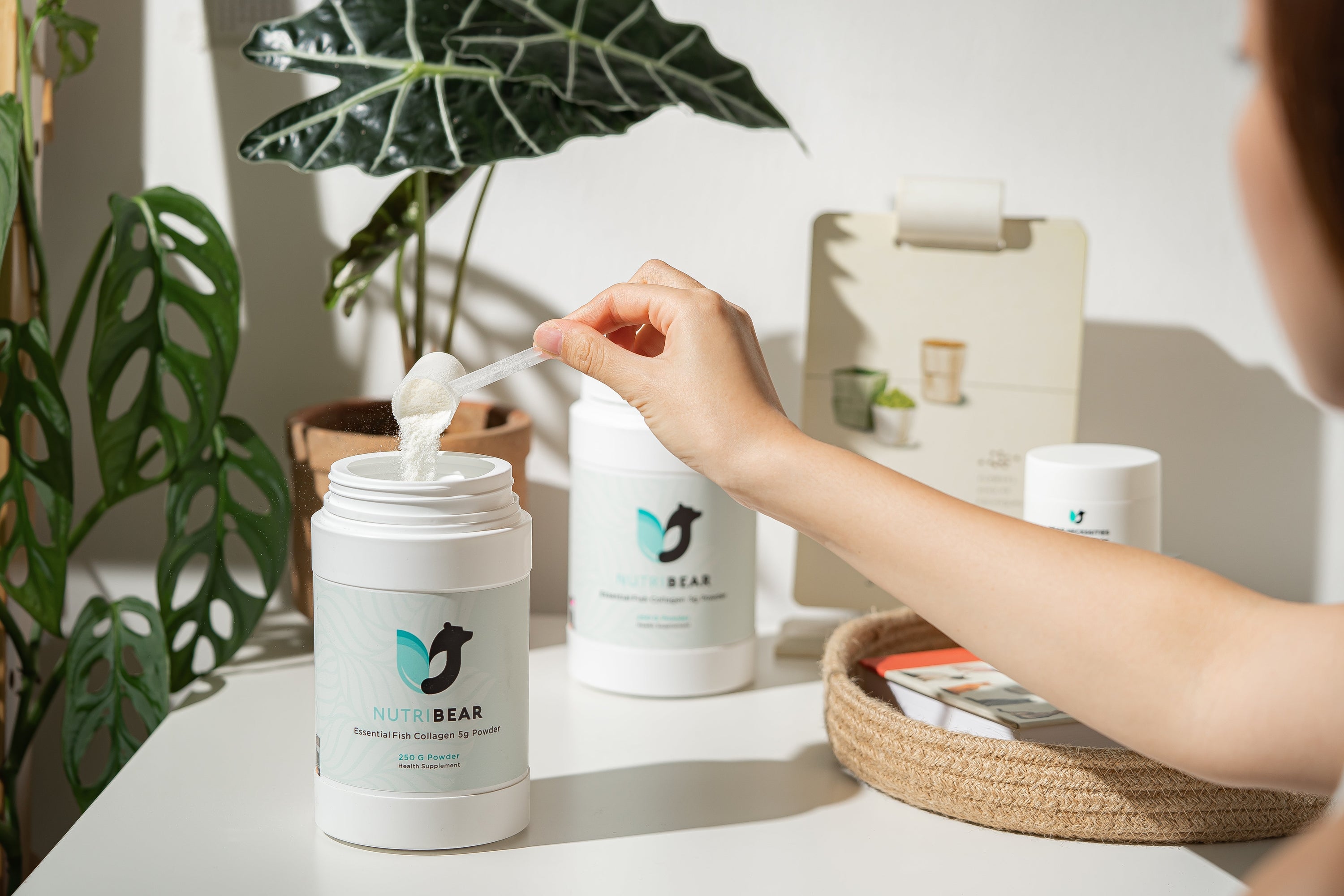 The Bear Necessities of Collagen: Why Consistency Is Key for Optimal Beauty and Health from Within